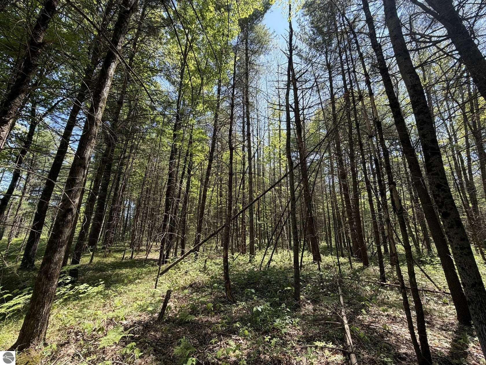 4.9 Acres of Residential Land for Sale in Baldwin, Michigan