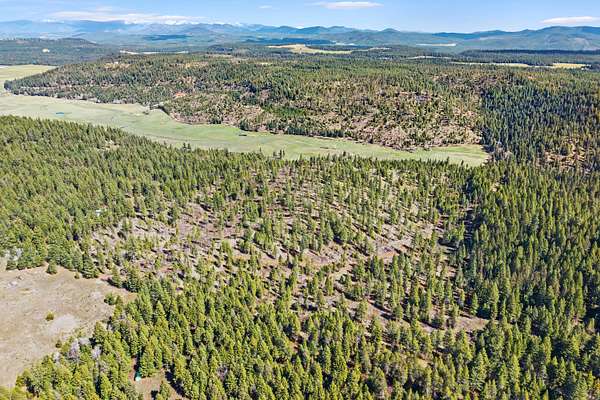 20.3 Acres of Recreational & Residential Land for Sale in Springdale, Washington