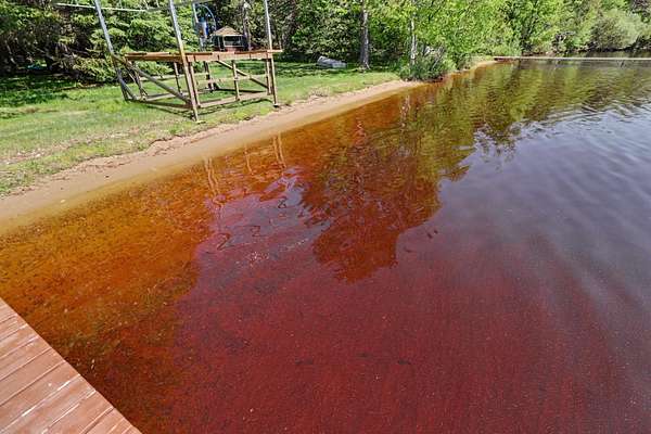 0.77 Acres of Land for Sale in Three Lakes, Wisconsin