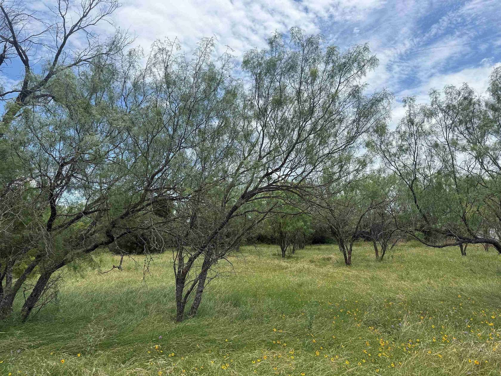 0.11 Acres of Residential Land for Sale in Horseshoe Bay, Texas