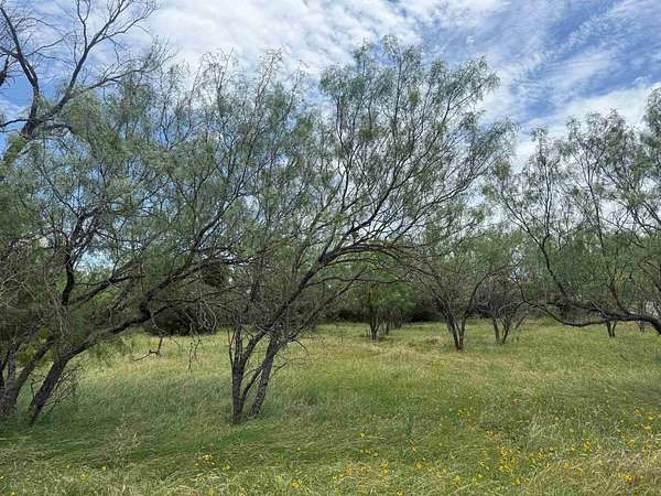 0.11 Acres of Residential Land for Sale in Horseshoe Bay, Texas