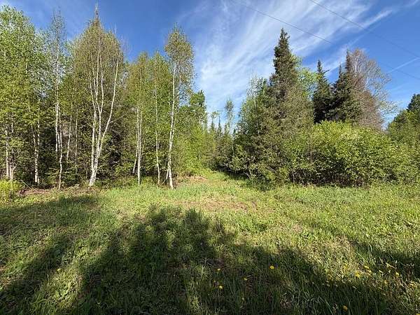 3 Acres of Land for Sale in Mercer, Wisconsin