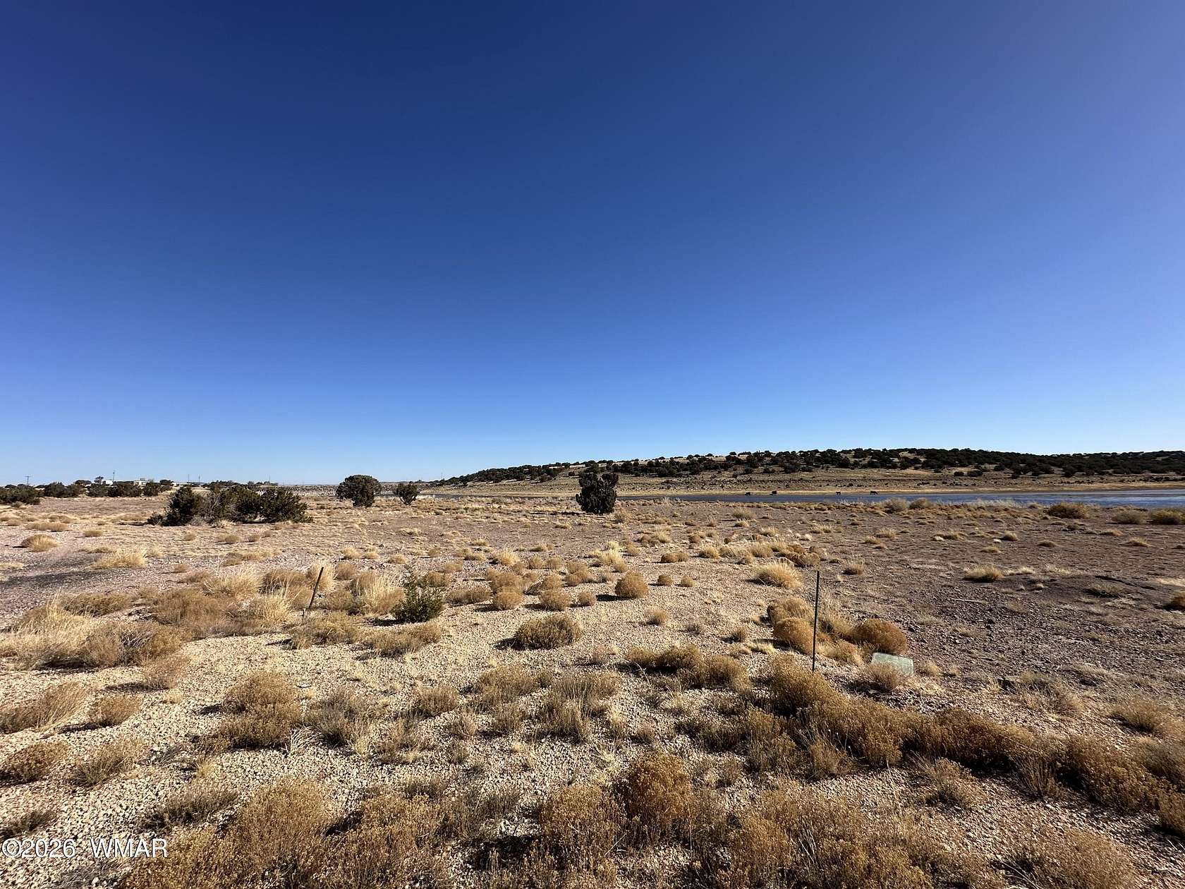 0.37 Acres of Residential Land for Sale in Concho, Arizona