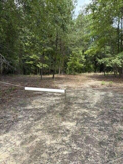 14 Acres of Land for Sale in Elko, South Carolina