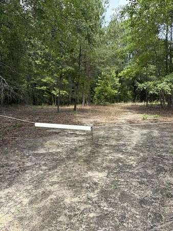 14 Acres of Land for Sale in Elko, South Carolina