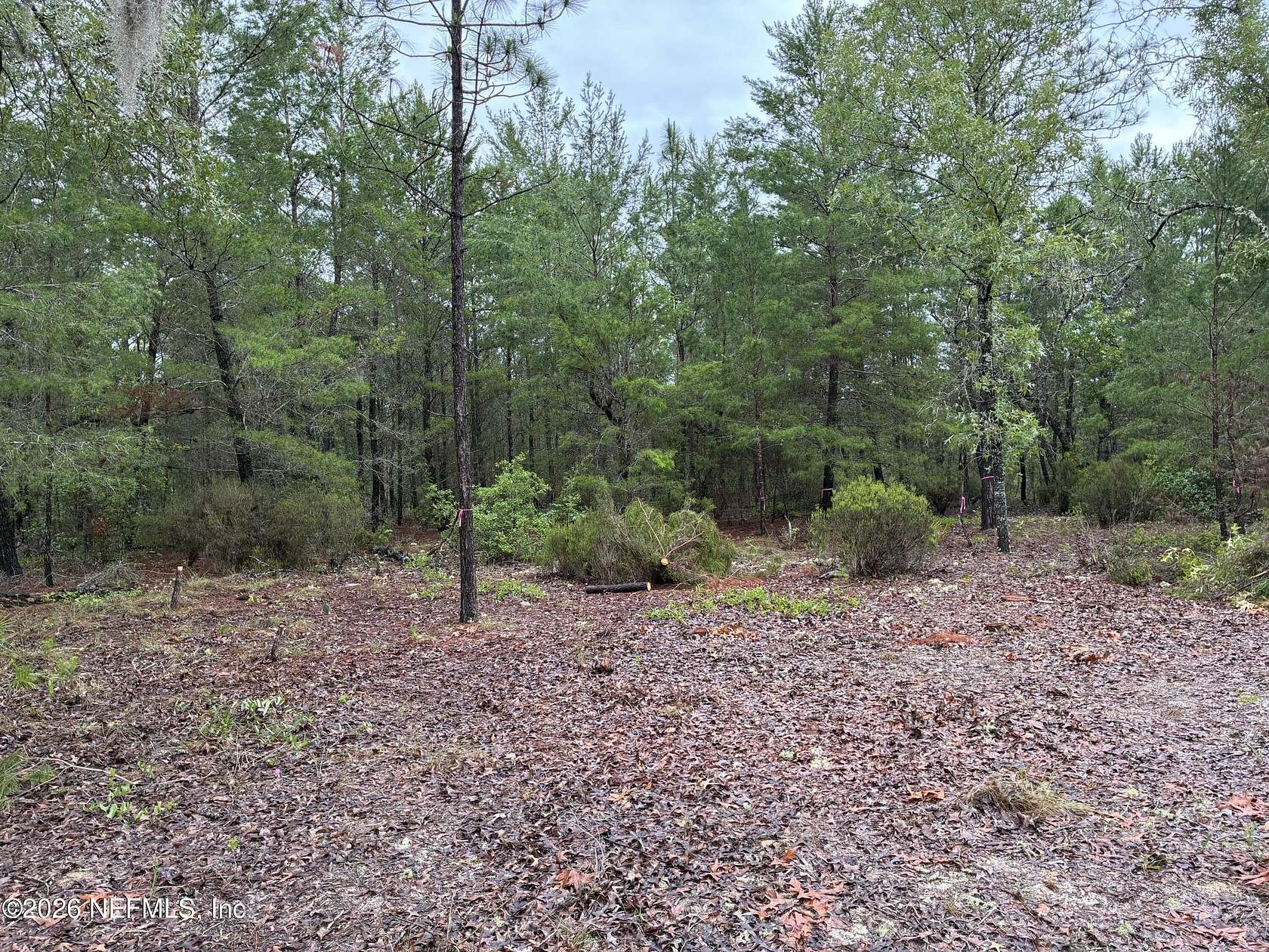 0.46 Acres of Land for Sale in Interlachen, Florida