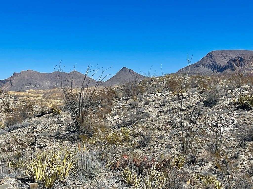 20 Acres of Recreational Land for Sale in Terlingua, Texas