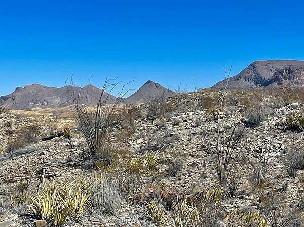 20 Acres of Recreational Land for Sale in Terlingua, Texas