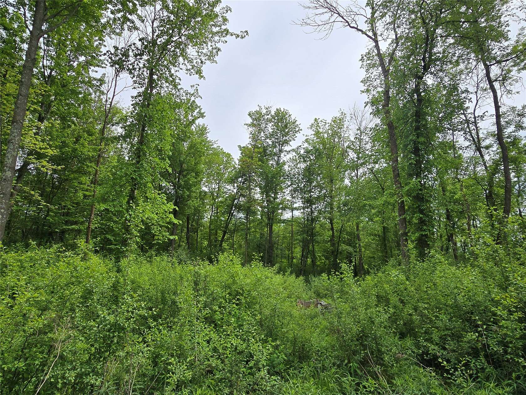 1.68 Acres of Land for Sale in Chetek, Wisconsin