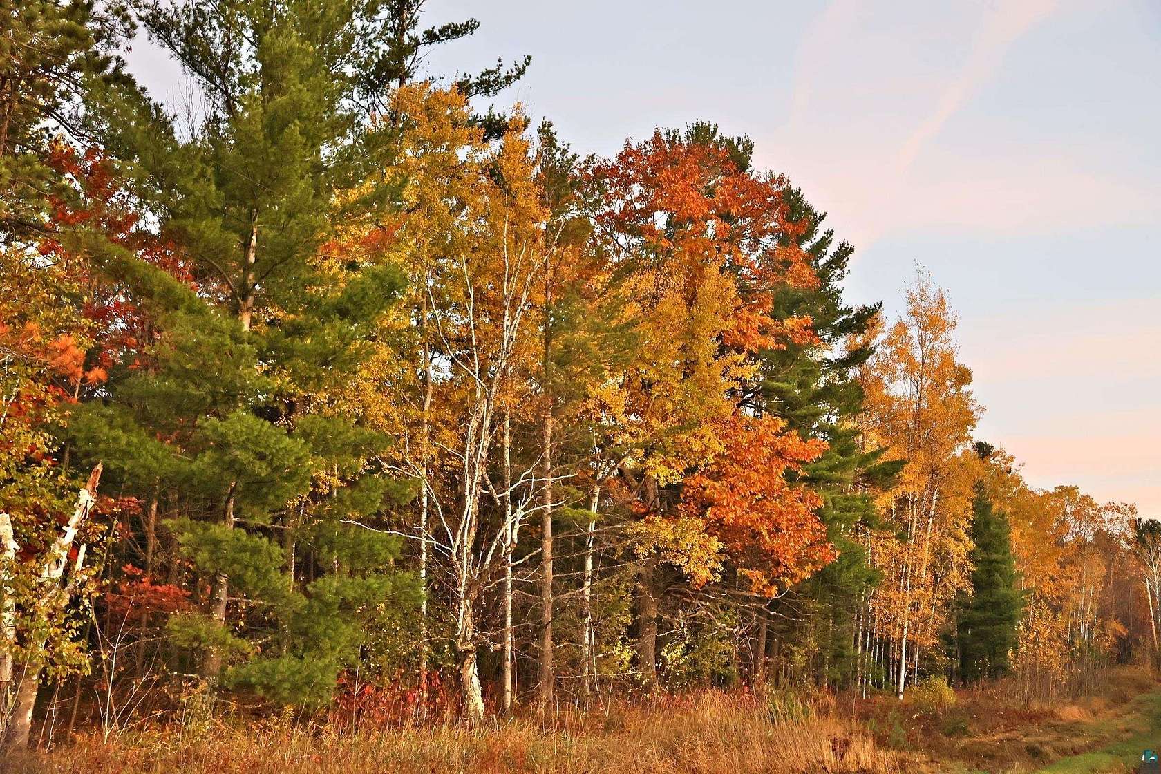 40 Acres of Recreational & Residential Land for Sale in Washburn, Wisconsin