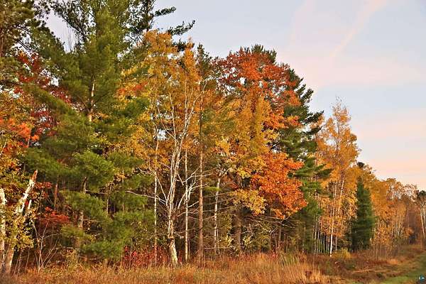 40 Acres of Recreational & Residential Land for Sale in Washburn, Wisconsin