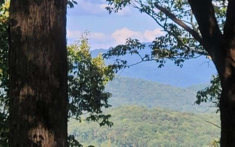 44 Acres of Recreational Land for Sale in Ellijay, Georgia