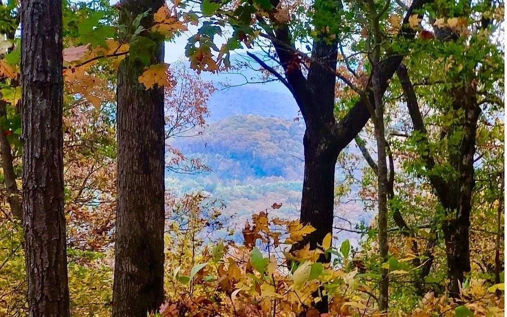 44 Acres of Recreational Land for Sale in Ellijay, Georgia