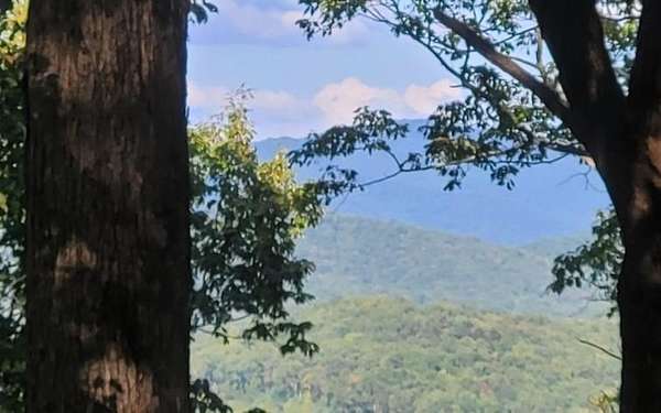 44 Acres of Recreational Land for Sale in Ellijay, Georgia