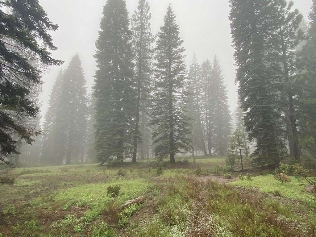 2.5 Acres of Residential Land for Sale in McCloud, California