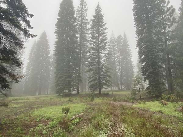 2.5 Acres of Residential Land for Sale in McCloud, California