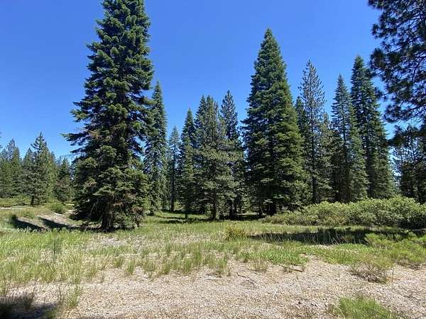 2.5 Acres of Residential Land for Sale in McCloud, California