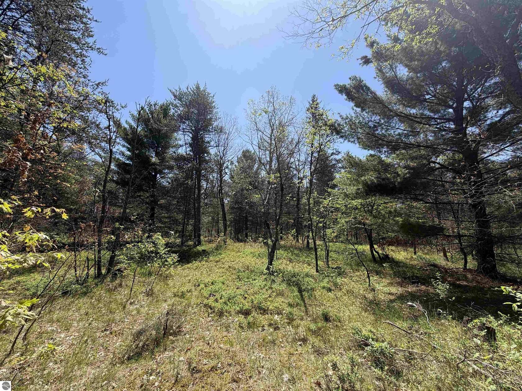 7.58 Acres of Residential Land for Sale in Idlewild, Michigan
