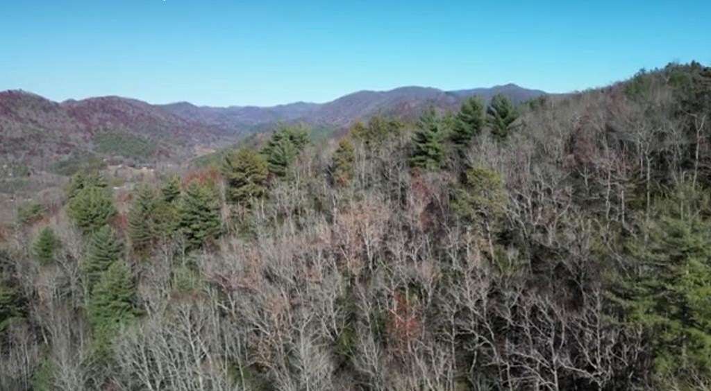 5 Acres of Residential Land for Sale in Robbinsville, North Carolina