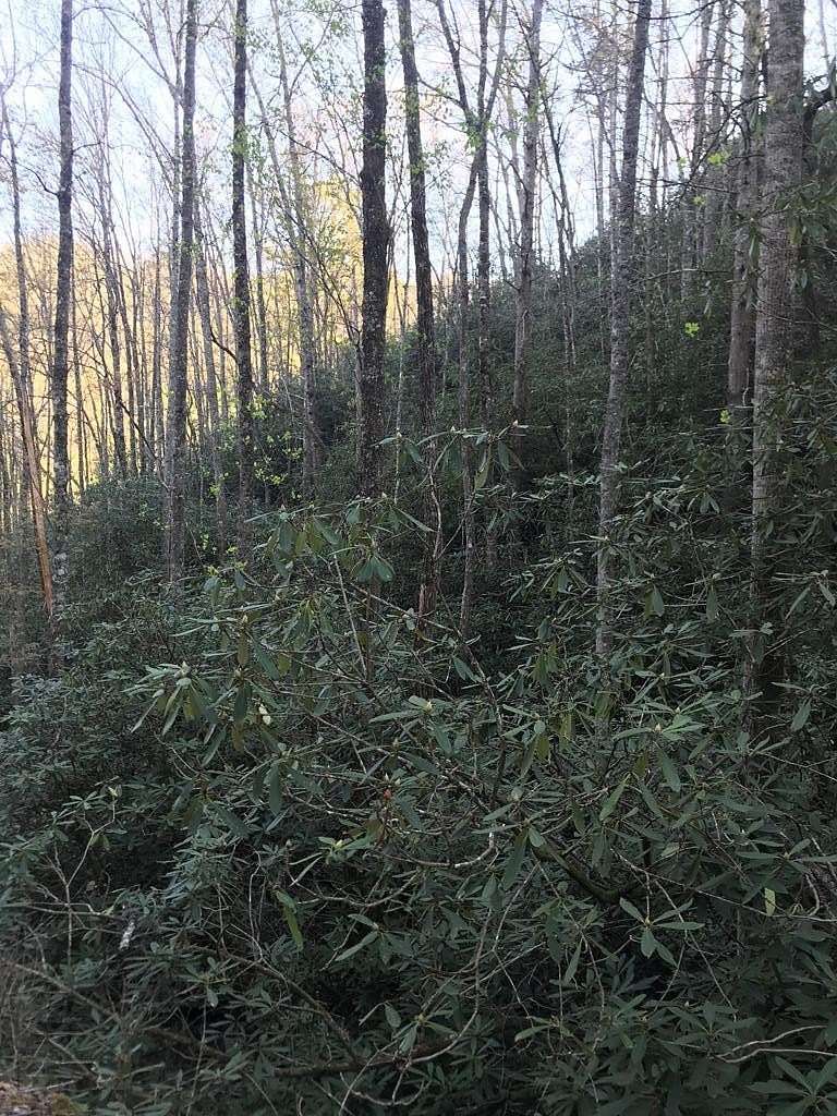 8.7 Acres of Land for Sale in Robbinsville, North Carolina
