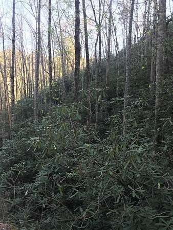 8.7 Acres of Land for Sale in Robbinsville, North Carolina