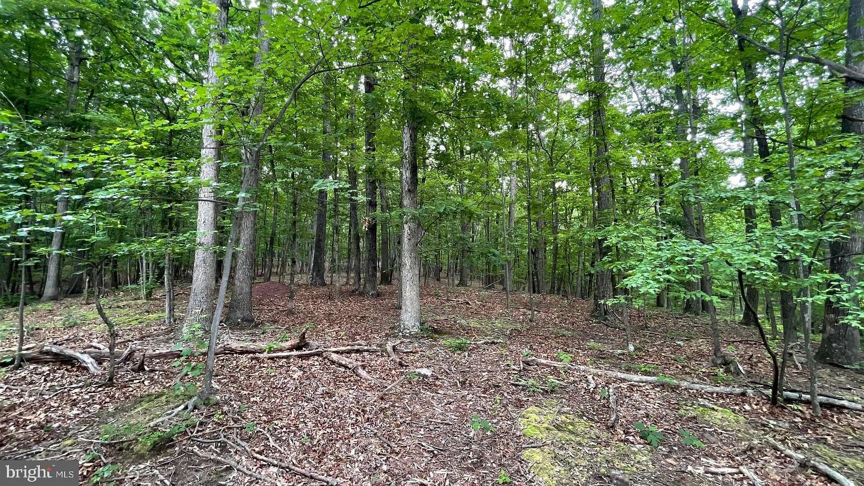 2 Acres of Residential Land for Sale in Slanesville, West Virginia