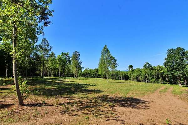 16 Acres of Recreational & Residential Land for Sale in Appomattox, Virginia