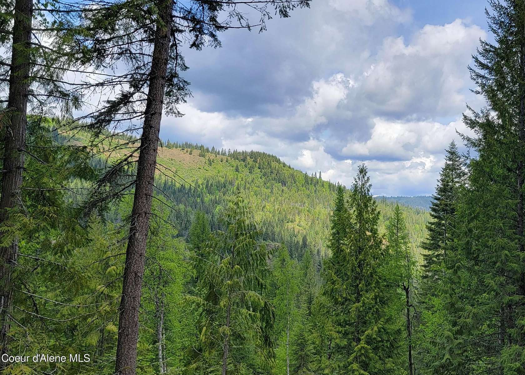 40 Acres of Recreational Land for Sale in Priest River, Idaho