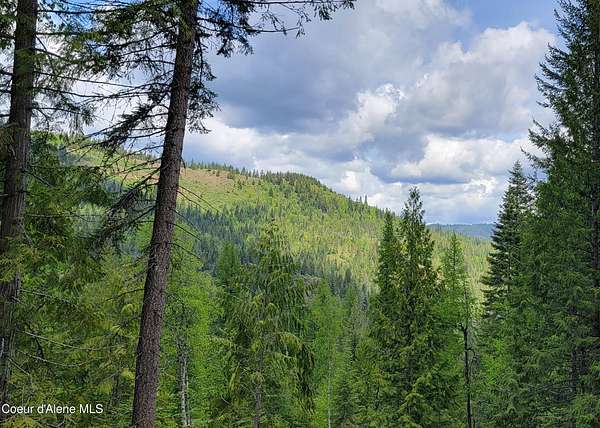 40 Acres of Recreational Land for Sale in Priest River, Idaho