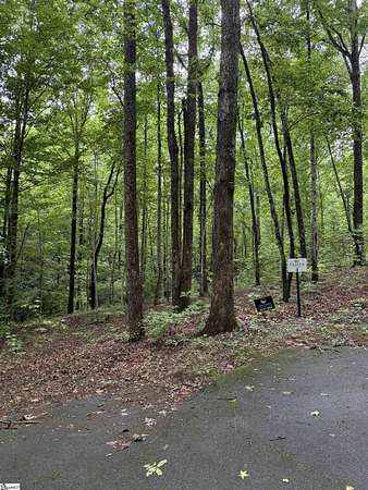 1 Acre of Residential Land for Sale in Travelers Rest, South Carolina