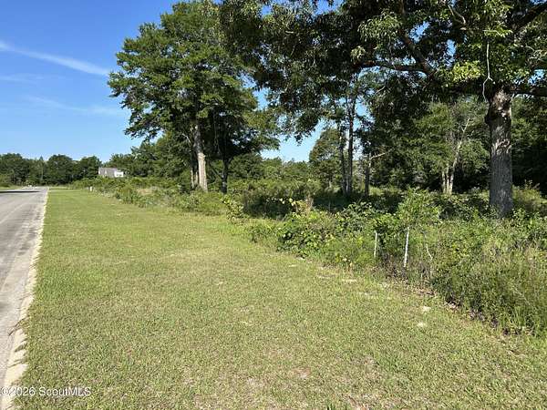 1.28 Acres of Residential Land for Sale in Jesup, Georgia