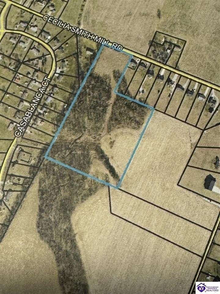 15.4 Acres of Land for Sale in Cecilia, Kentucky