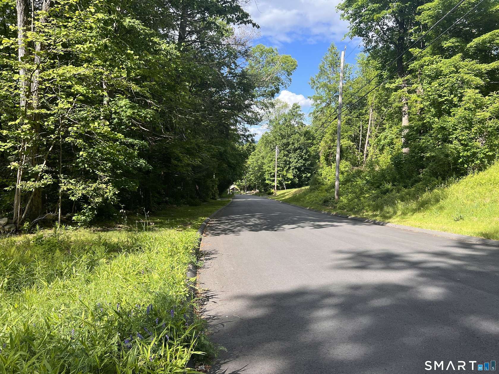 7.89 Acres of Residential Land for Sale in New Hartford, Connecticut