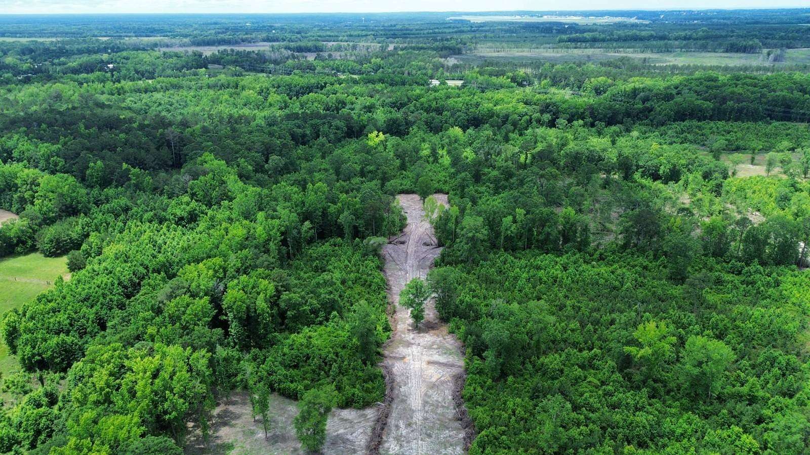 16.2 Acres of Land for Sale in Dalzell, South Carolina