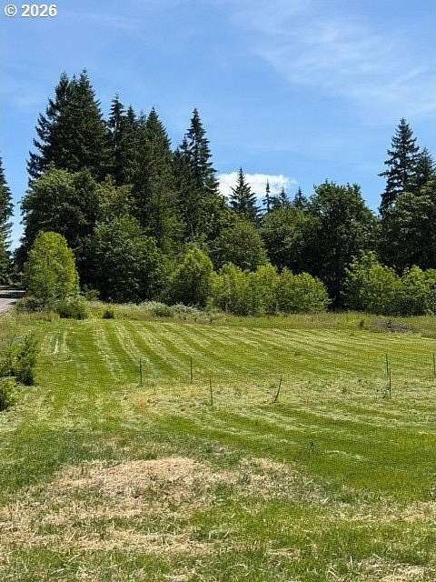 1 Acre of Residential Land for Sale in Hockinson, Washington
