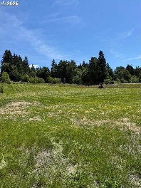 2 Acres of Residential Land for Sale in Hockinson, Washington
