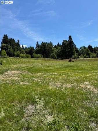 2 Acres of Residential Land for Sale in Hockinson, Washington