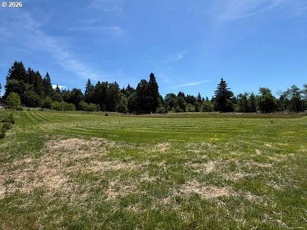 1 Acre of Residential Land for Sale in Hockinson, Washington