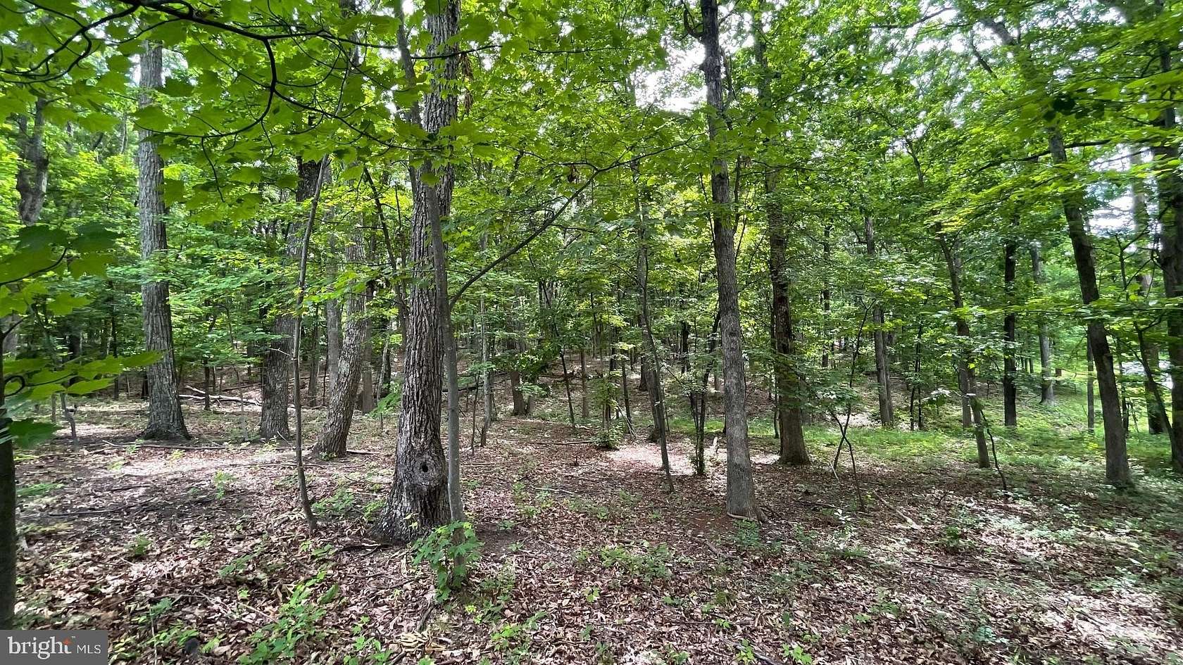 2 Acres of Residential Land for Sale in Slanesville, West Virginia