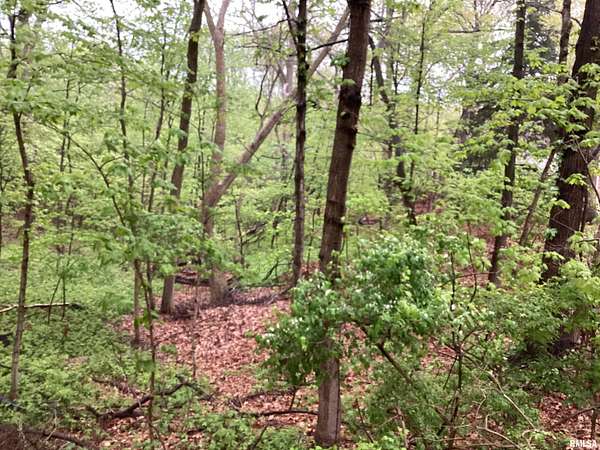2.52 Acres of Residential Land for Sale in Metamora, Illinois