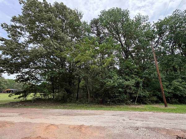 0.19 Acres of Residential Land for Sale in Mount Vernon, Texas