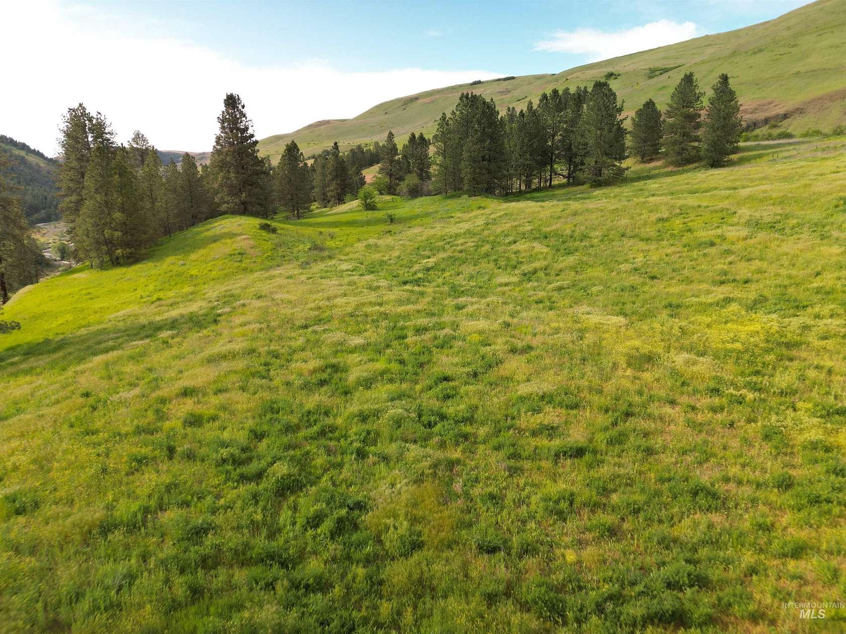 66.6 Acres of Agricultural & Residential Land for Sale in Kendrick, Idaho