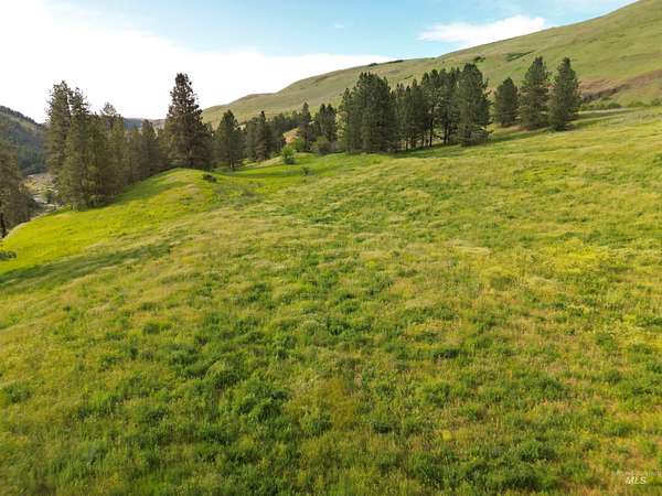 66.6 Acres of Agricultural & Residential Land for Sale in Kendrick, Idaho