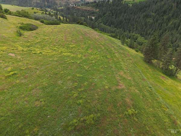 17.2 Acres of Land for Sale in Kendrick, Idaho