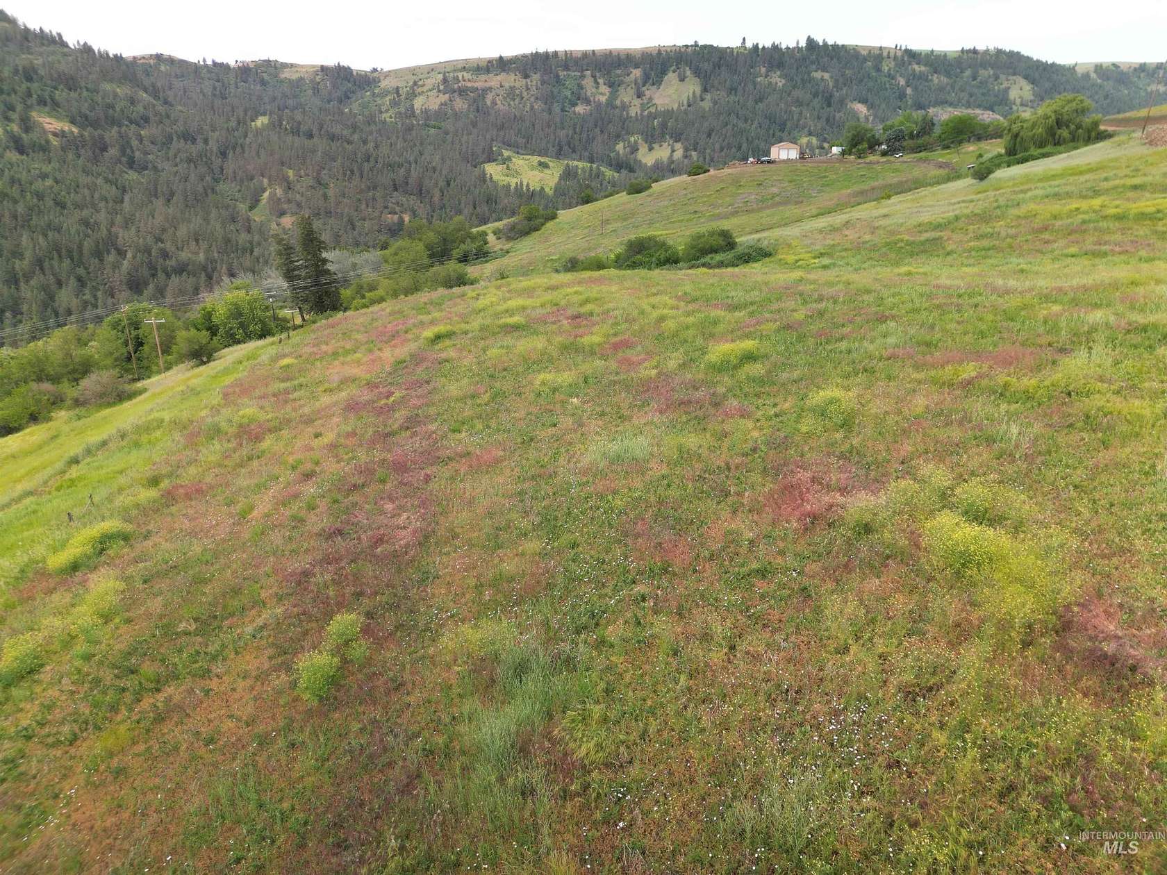 11.2 Acres of Land for Sale in Kendrick, Idaho