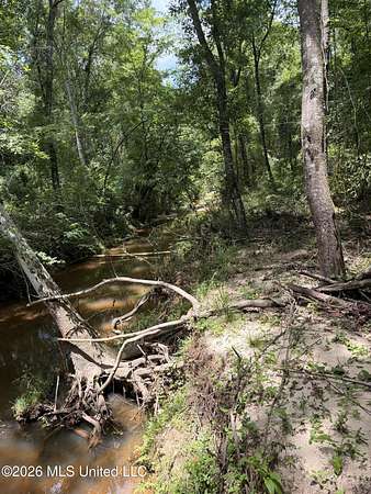 18.7 Acres of Recreational & Residential Land for Sale in Liberty, Mississippi