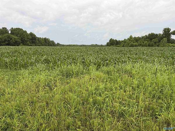 786 Acres of Land for Sale in Town Creek, Alabama