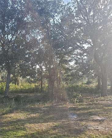 0.5 Acres of Residential Land for Sale in Indian Lake Estates, Florida