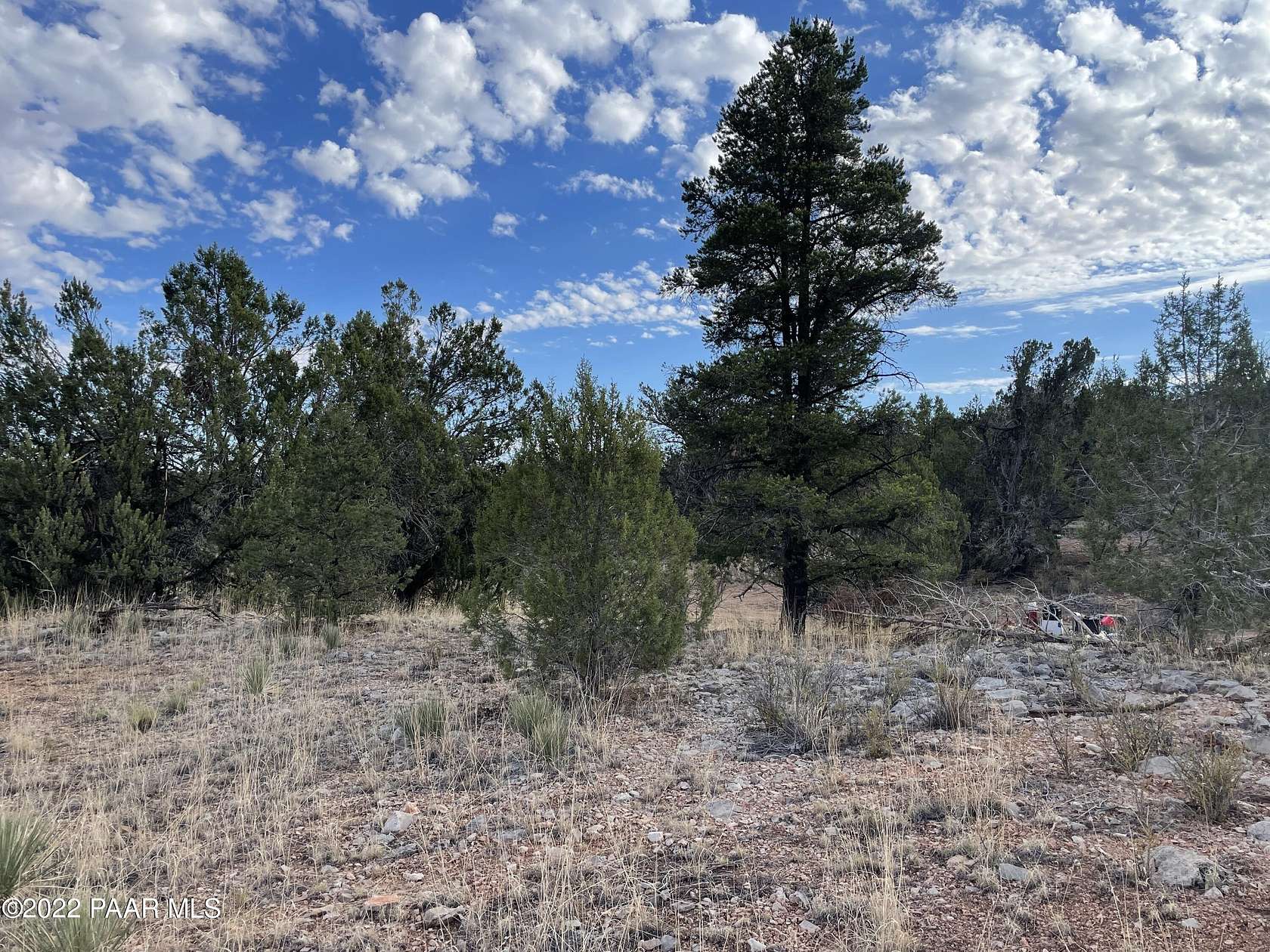 1.7 Acres of Land for Sale in Seligman, Arizona