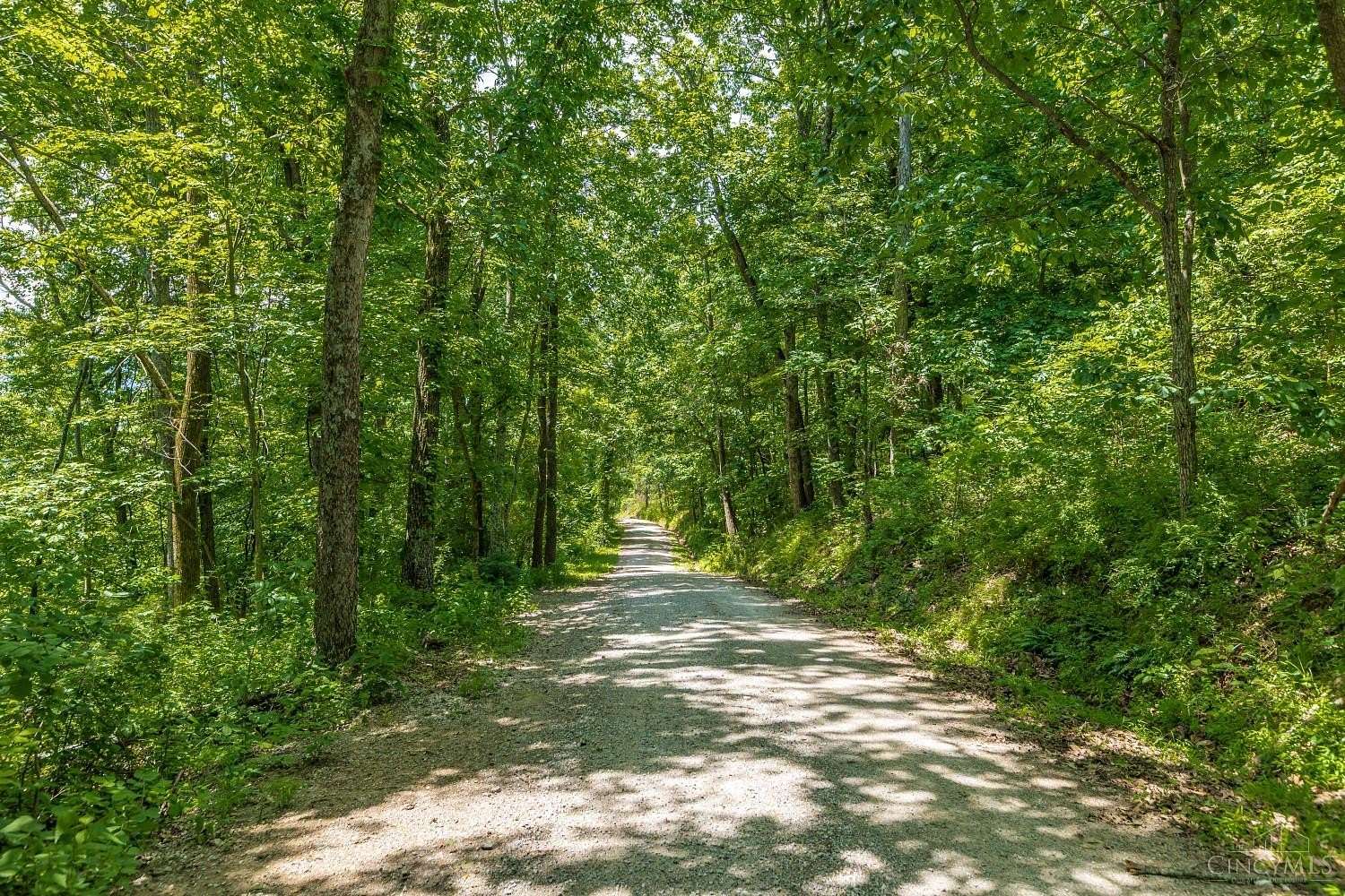 50.2 Acres of Recreational & Residential Land for Sale in Blue Creek, Ohio